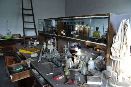 七一梦工坊 从老机械厂到中南文创新地标的市场破局之路