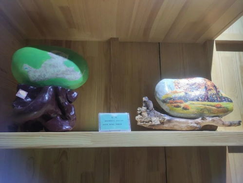 购在金塔 探索你不知道的胡杨文创产品市场营销策划